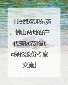 热烈欢迎东莞、佛山两地客户代表团莅临itc保伦股份考察交流