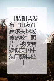 特朗普发布“朋友在高尔夫球场被鹅咬”照片，被咬者疑似美国中东问题特使