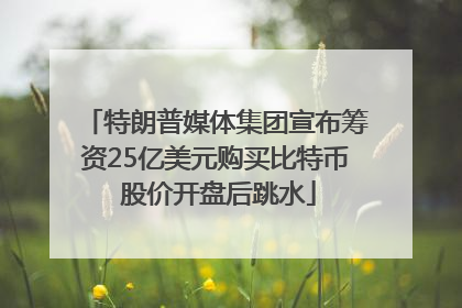 特朗普媒体集团宣布筹资25亿美元购买比特币 股价开盘后跳水
