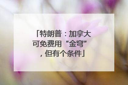 特朗普：加拿大可免费用“金穹”，但有个条件