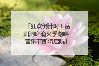 狂欢倒计时！岳阳洞庭渔火季湖畔音乐节即将启航