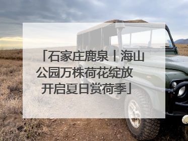 石家庄鹿泉丨海山公园万株荷花绽放 开启夏日赏荷季