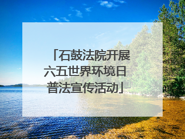 石鼓法院开展六五世界环境日普法宣传活动