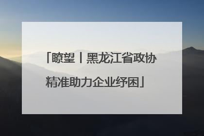 瞭望丨黑龙江省政协精准助力企业纾困