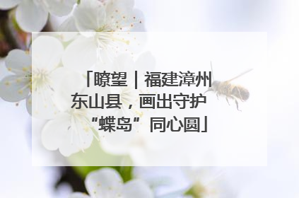 瞭望｜福建漳州东山县，画出守护“蝶岛”同心圆