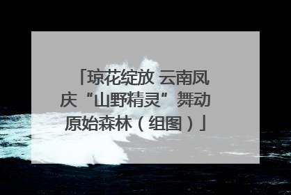 琼花绽放 云南凤庆“山野精灵”舞动原始森林（组图）