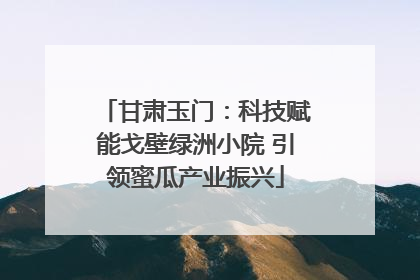 甘肃玉门：科技赋能戈壁绿洲小院 引领蜜瓜产业振兴