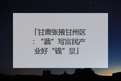 甘肃张掖甘州区：“蔬”写富民产业好“钱”景