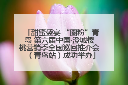 甜蜜盛宴 “圈粉”青岛 第六届中国·澄城樱桃营销季全国巡回推介会（青岛站）成功举办