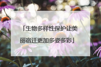 生物多样性保护让美丽宿迁更加多姿多彩