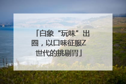 白象“玩味”出圈，以口味征服Z世代的挑剔胃