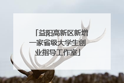 益阳高新区新增一家省级大学生创业指导工作室