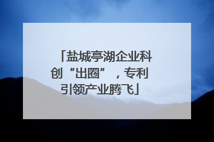 盐城亭湖企业科创“出圈”，专利引领产业腾飞