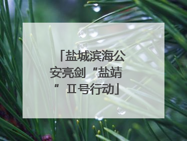 盐城滨海公安亮剑“盐靖”Ⅱ号行动