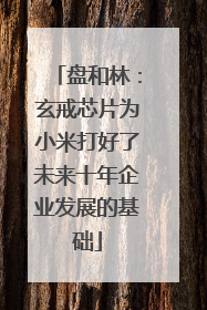 盘和林：玄戒芯片为小米打好了未来十年企业发展的基础
