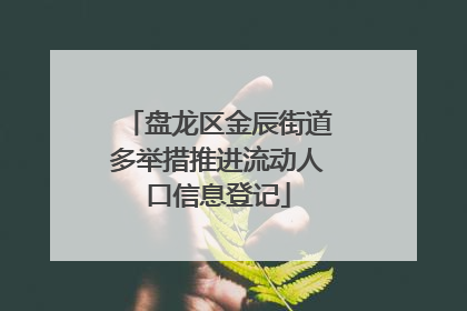 盘龙区金辰街道多举措推进流动人口信息登记