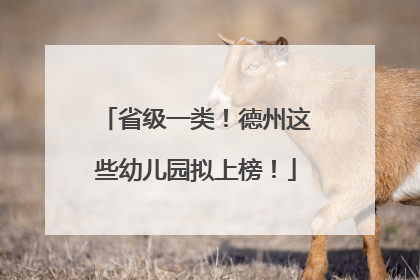 省级一类！德州这些幼儿园拟上榜！