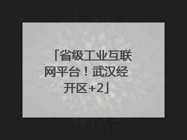 省级工业互联网平台！武汉经开区+2
