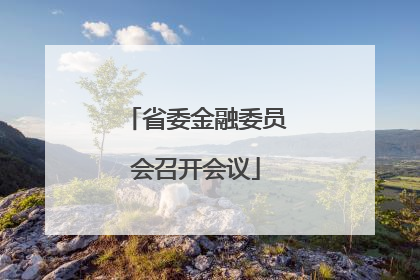 省委金融委员会召开会议
