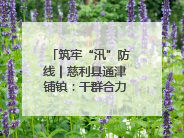 筑牢“汛”防线｜慈利县通津铺镇：干群合力抗击洪灾