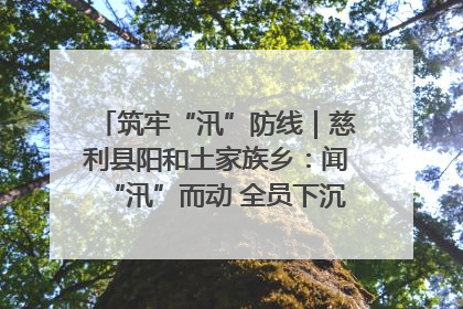 筑牢“汛”防线｜慈利县阳和土家族乡：闻“汛”而动 全员下沉筑牢防汛“安全堤”