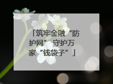 筑牢金融“防护网” 守护万家“钱袋子”