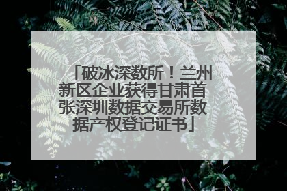 破冰深数所！兰州新区企业获得甘肃首张深圳数据交易所数据产权登记证书
