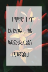 禁毒十年铸辉煌，盐城公安启航再破浪