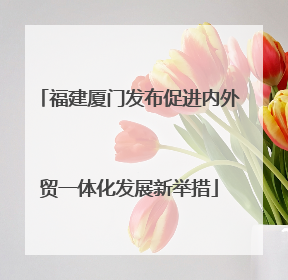 福建厦门发布促进内外贸一体化发展新举措