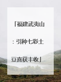 福建武夷山：引种七彩土豆喜获丰收