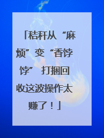 秸秆从“麻烦”变“香饽饽” 打捆回收这波操作太赚了！