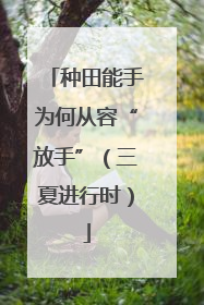 种田能手为何从容“放手”（三夏进行时）