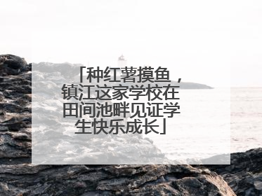 种红薯摸鱼，镇江这家学校在田间池畔见证学生快乐成长