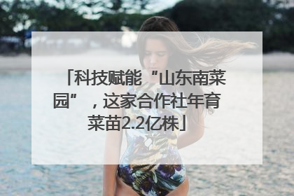 科技赋能“山东南菜园”，这家合作社年育菜苗2.2亿株
