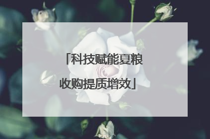 科技赋能夏粮收购提质增效