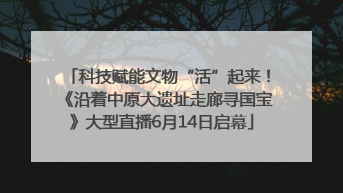 科技赋能文物“活”起来！《沿着中原大遗址走廊寻国宝》大型直播6月14日启幕