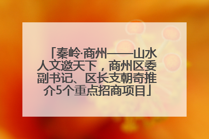 秦岭·商州——山水人文邀天下，商州区委副书记、区长支朝奇推介5个重点招商项目