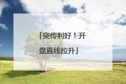 突传利好！开盘直线拉升