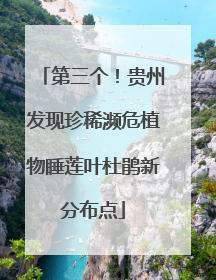 第三个！贵州发现珍稀濒危植物睡莲叶杜鹃新分布点