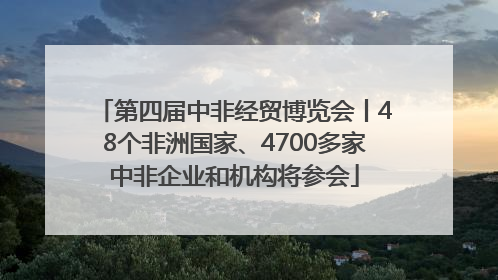 第四届中非经贸博览会丨48个非洲国家、4700多家中非企业和机构将参会