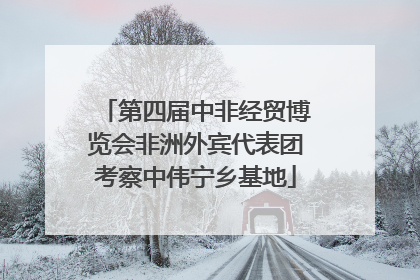 第四届中非经贸博览会非洲外宾代表团考察中伟宁乡基地