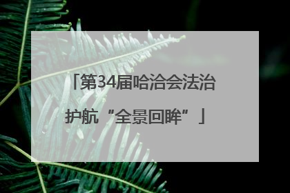 第34届哈洽会法治护航“全景回眸”