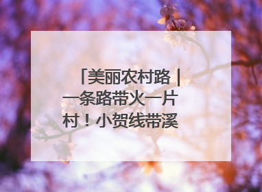 美丽农村路｜一条路带火一片村！小贺线带溪望谷成团出道