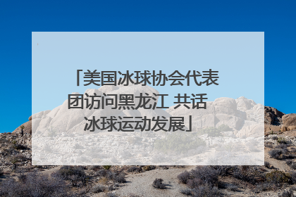 美国冰球协会代表团访问黑龙江 共话冰球运动发展