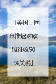 美国：同意推迟对欧盟征收50%关税