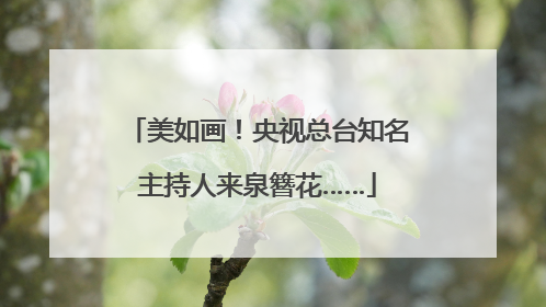 美如画！央视总台知名主持人来泉簪花……