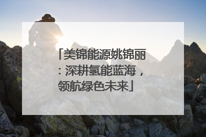 美锦能源姚锦丽：深耕氢能蓝海，领航绿色未来