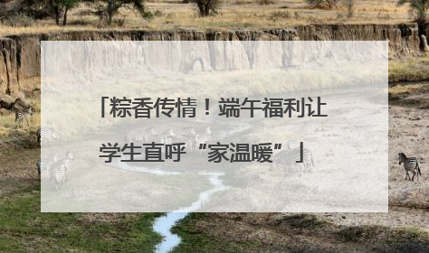 粽香传情！端午福利让学生直呼“家温暖”