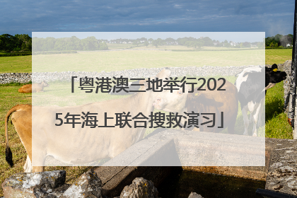 粤港澳三地举行2025年海上联合搜救演习