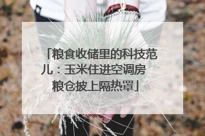 粮食收储里的科技范儿：玉米住进空调房 粮仓披上隔热罩